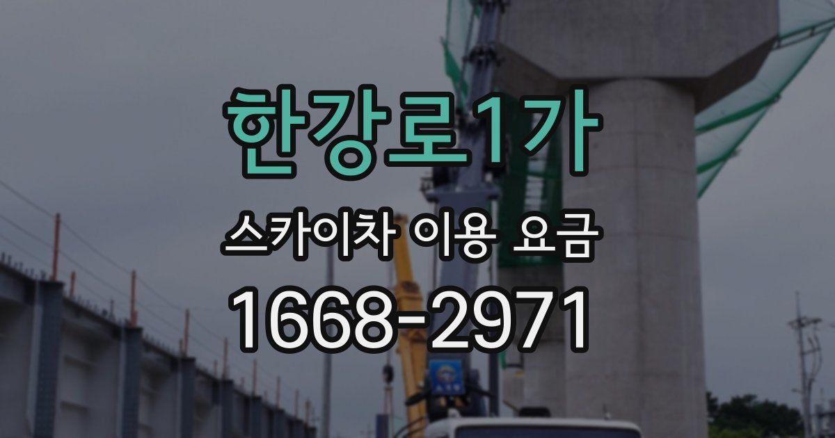 한강로1가 스카이차 이용 요금