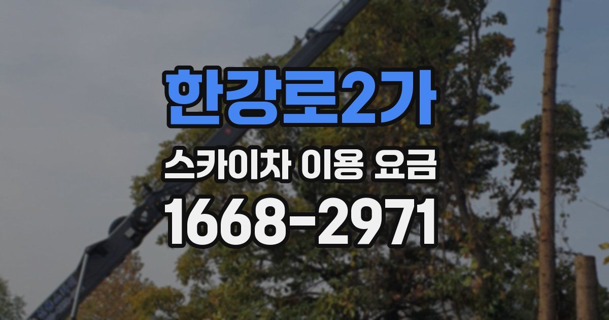 한강로2가 스카이차 이용 요금