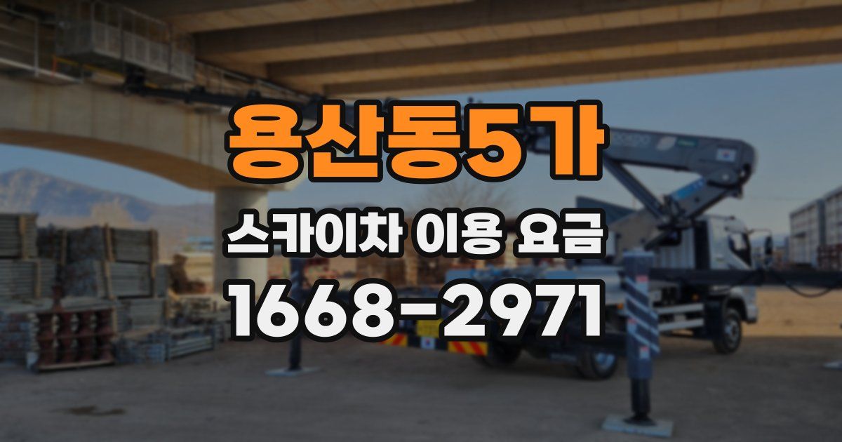 용산동5가 스카이차 이용 요금