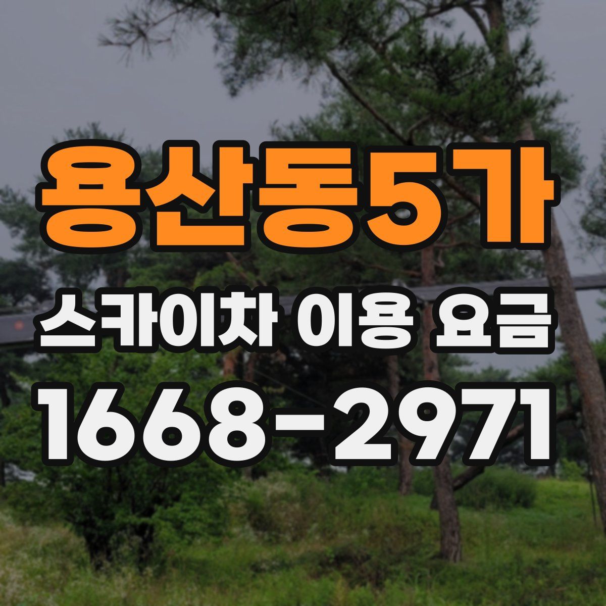 용산동5가 스카이차 이용 요금