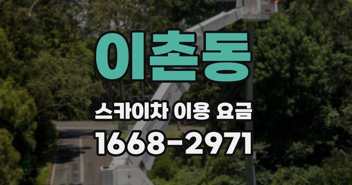 이촌동 스카이차 이용 요금