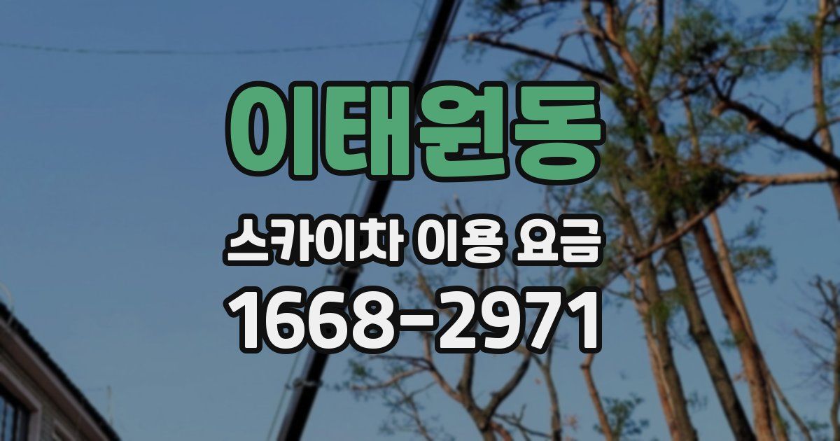 이태원동 스카이차 이용 요금