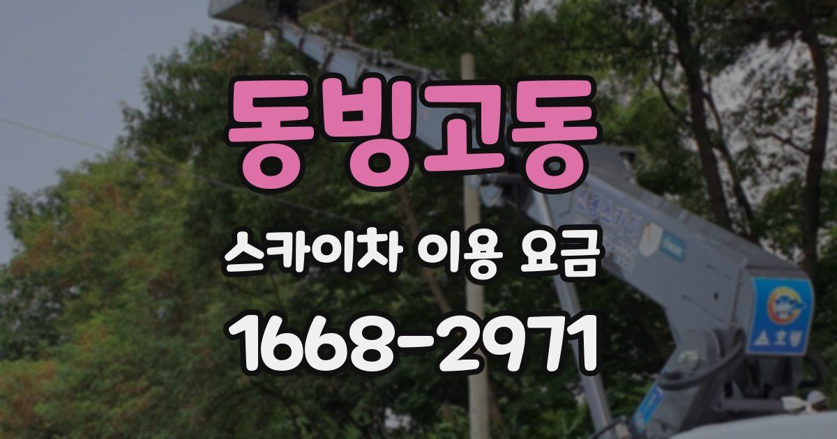 동빙고동 스카이차 이용 요금