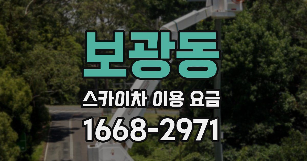 보광동 스카이차 이용 요금
