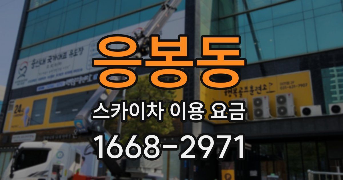 응봉동 스카이차 이용 요금