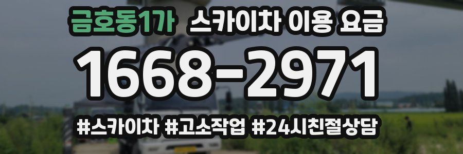 금호동1가 스카이차 이용 요금