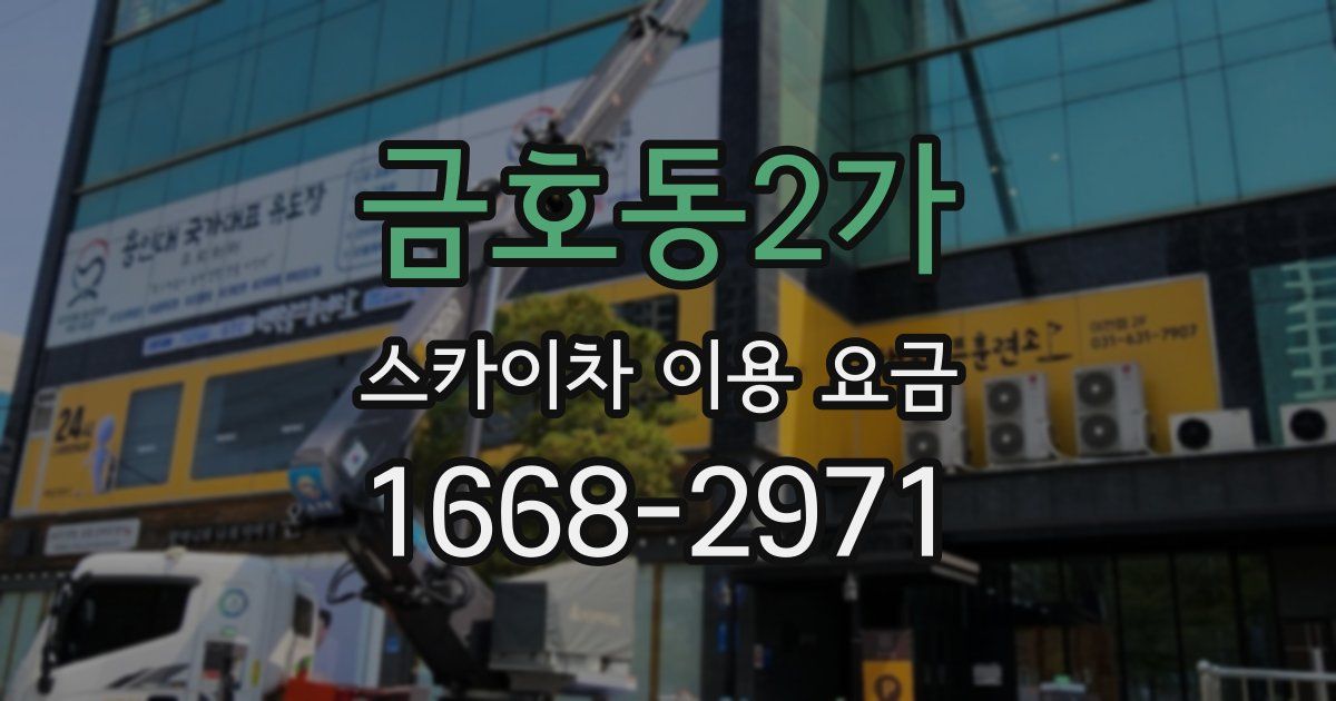금호동2가 스카이차 이용 요금