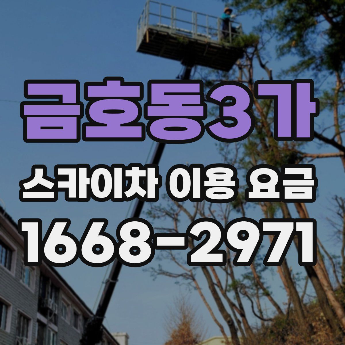 금호동3가 스카이차 이용 요금