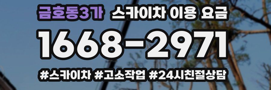 금호동3가 스카이차 이용 요금