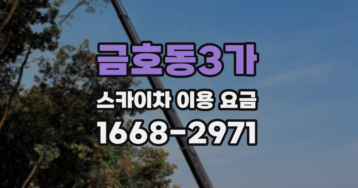 금호동3가 스카이차 이용 요금