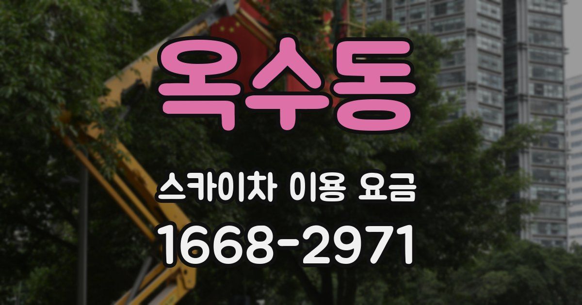 옥수동 스카이차 이용 요금