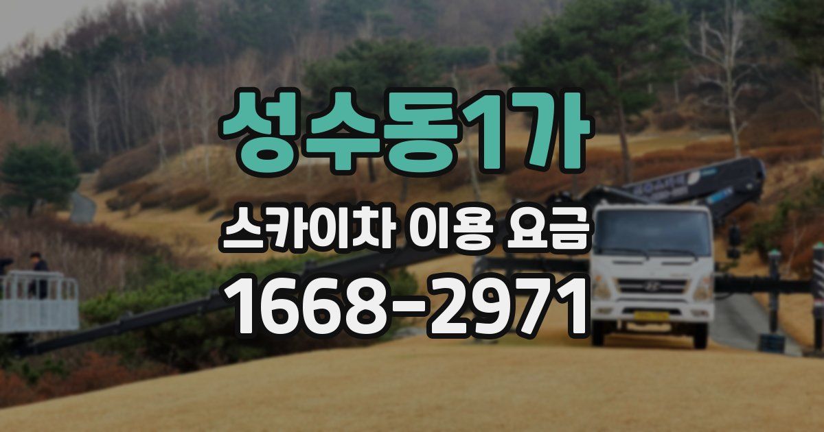 성수동1가 스카이차 이용 요금