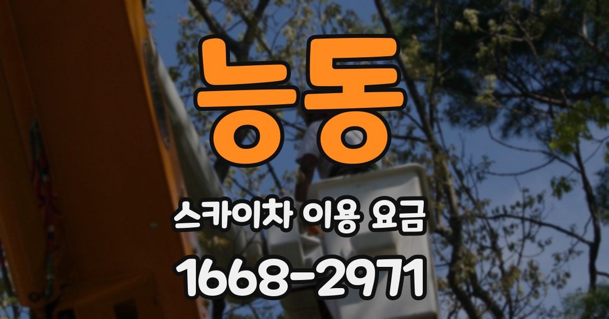 능동 스카이차 이용 요금