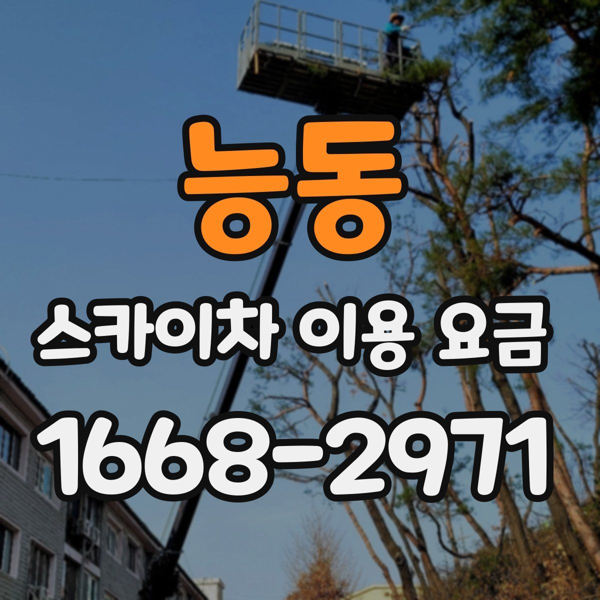 능동 스카이차 이용 요금