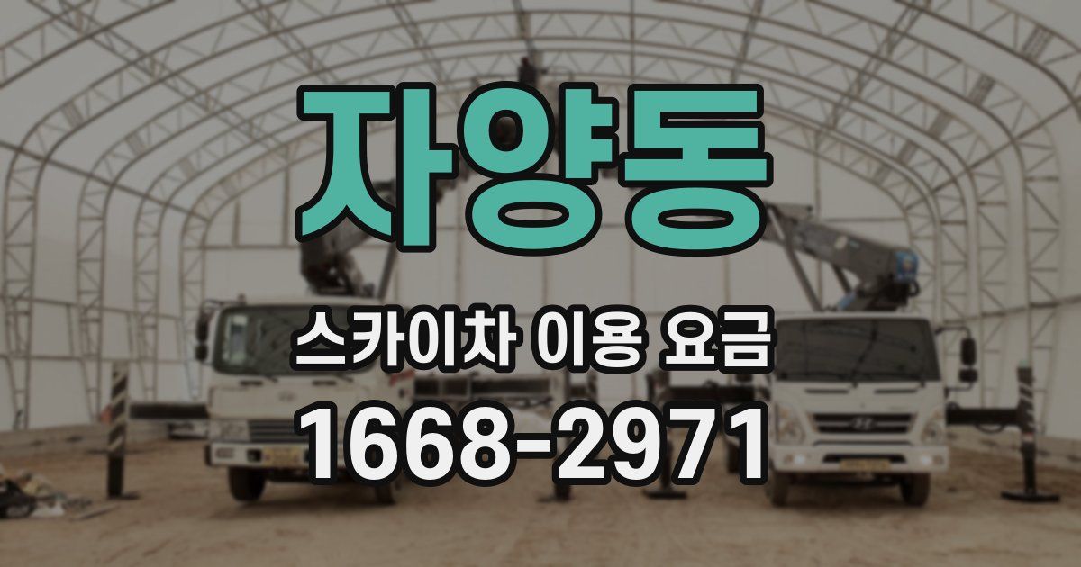 자양동 스카이차 이용 요금