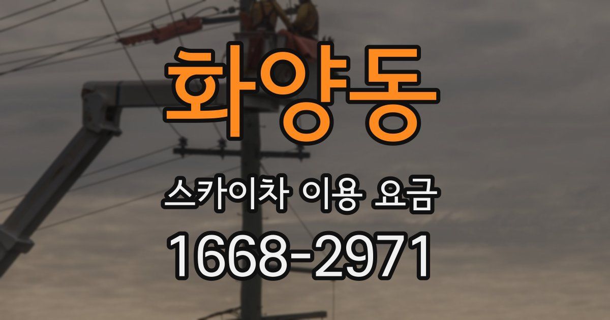 화양동 스카이차 이용 요금