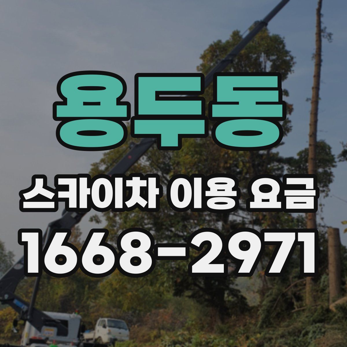 용두동 스카이차 이용 요금