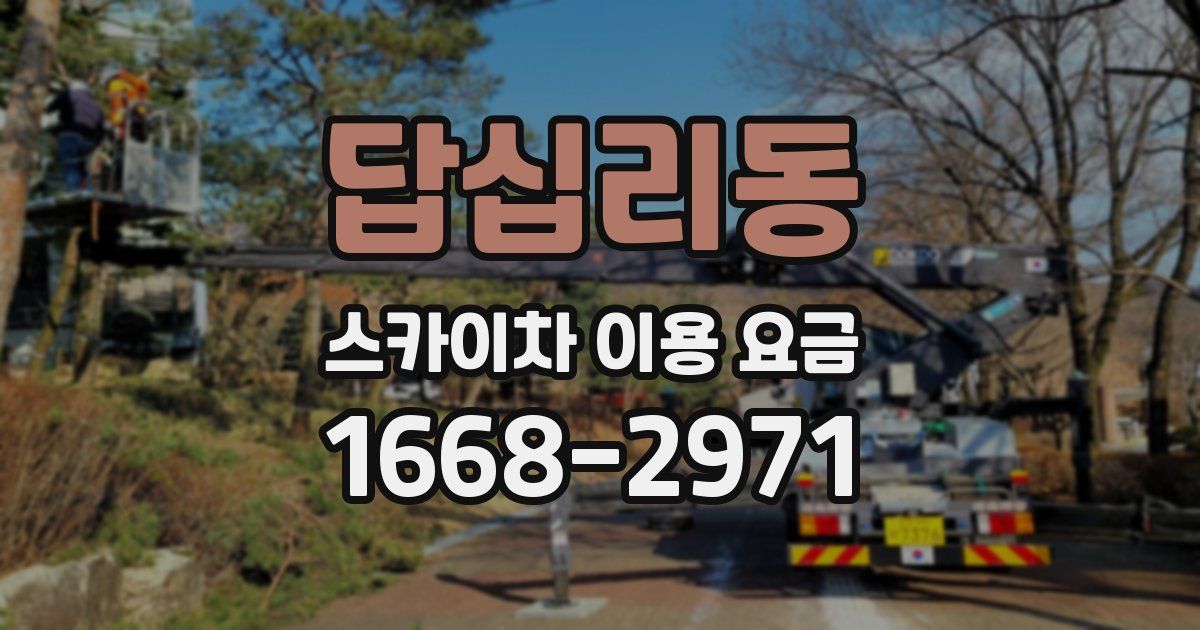 답십리동 스카이차 이용 요금