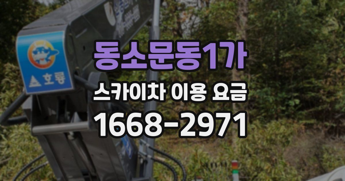 동소문동1가 스카이차 이용 요금