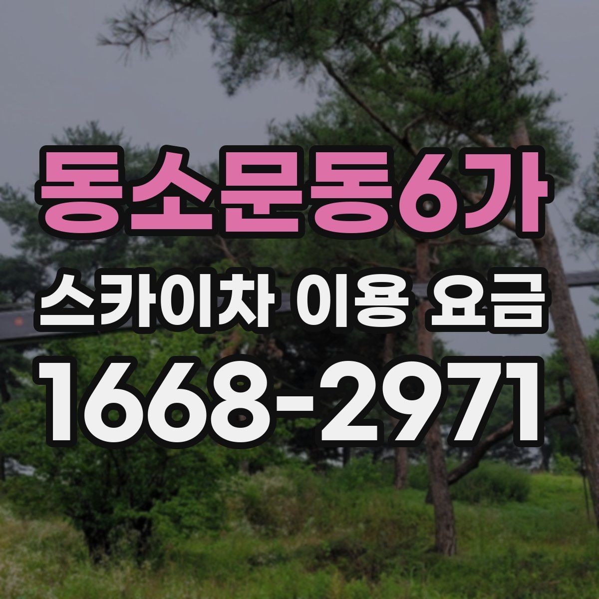 동소문동6가 스카이차 이용 요금 책정에 영향을 주는 요소
