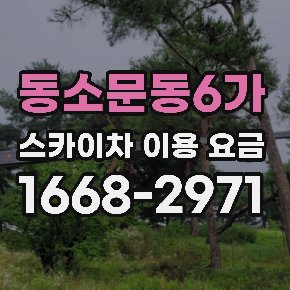 동소문동6가 스카이차 이용 요금