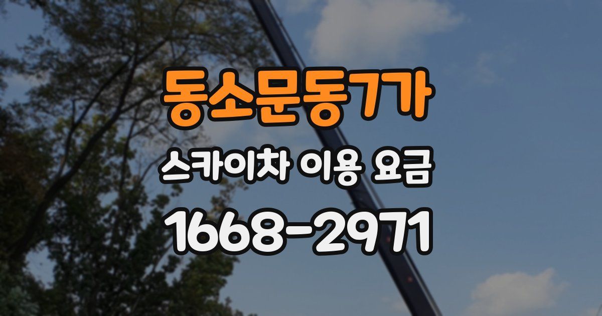 동소문동7가 스카이차 이용 요금