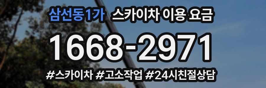 삼선동1가 스카이차 이용 요금