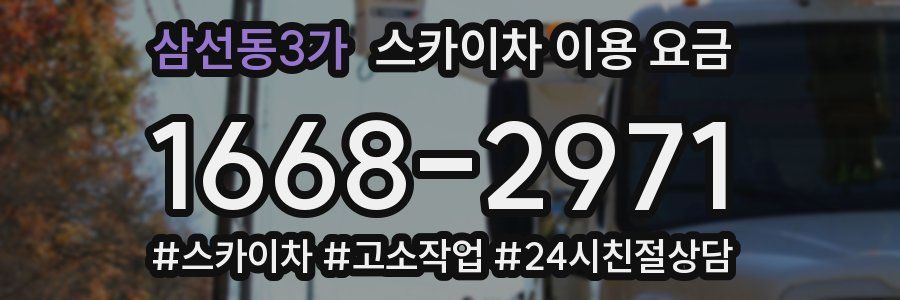 삼선동3가 스카이차 이용 요금