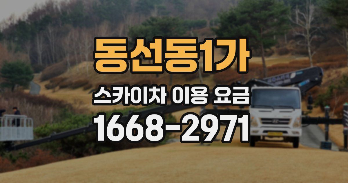 동선동1가 스카이차 이용 요금
