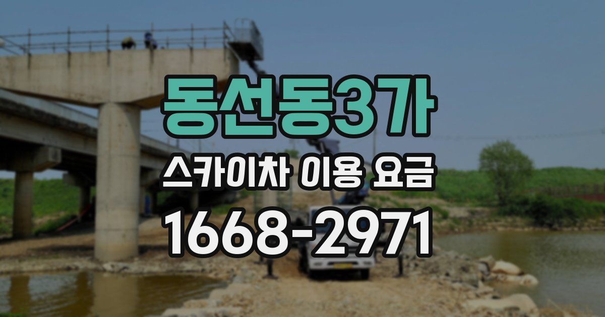 동선동3가 스카이차 이용 요금