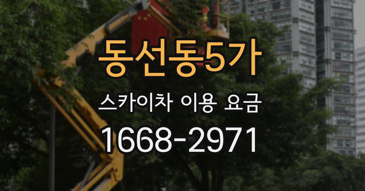 동선동5가 스카이차 이용 요금