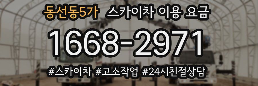 동선동5가 스카이차 이용 요금