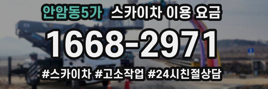 안암동5가 스카이차 이용 요금