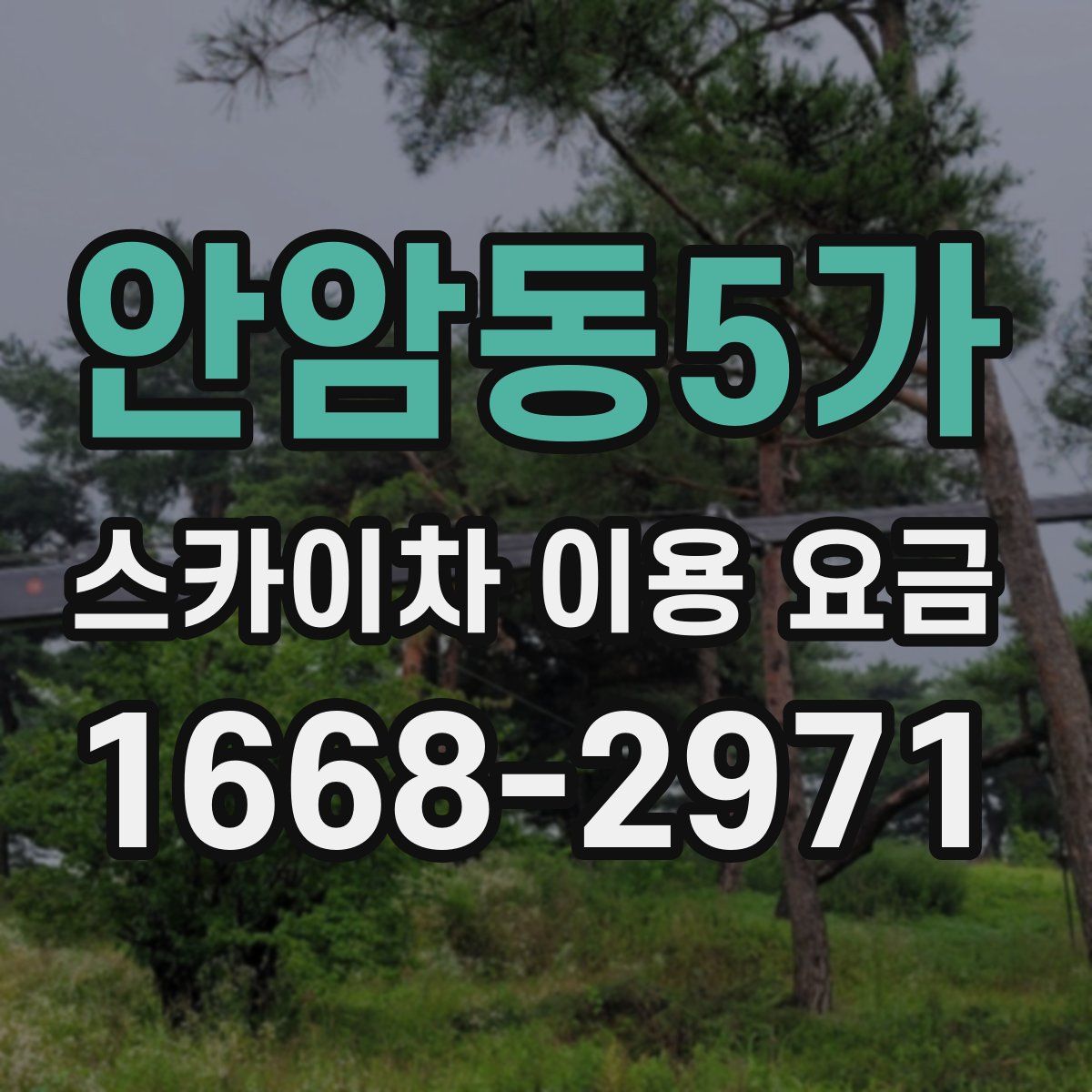 안암동5가 스카이차 이용 요금