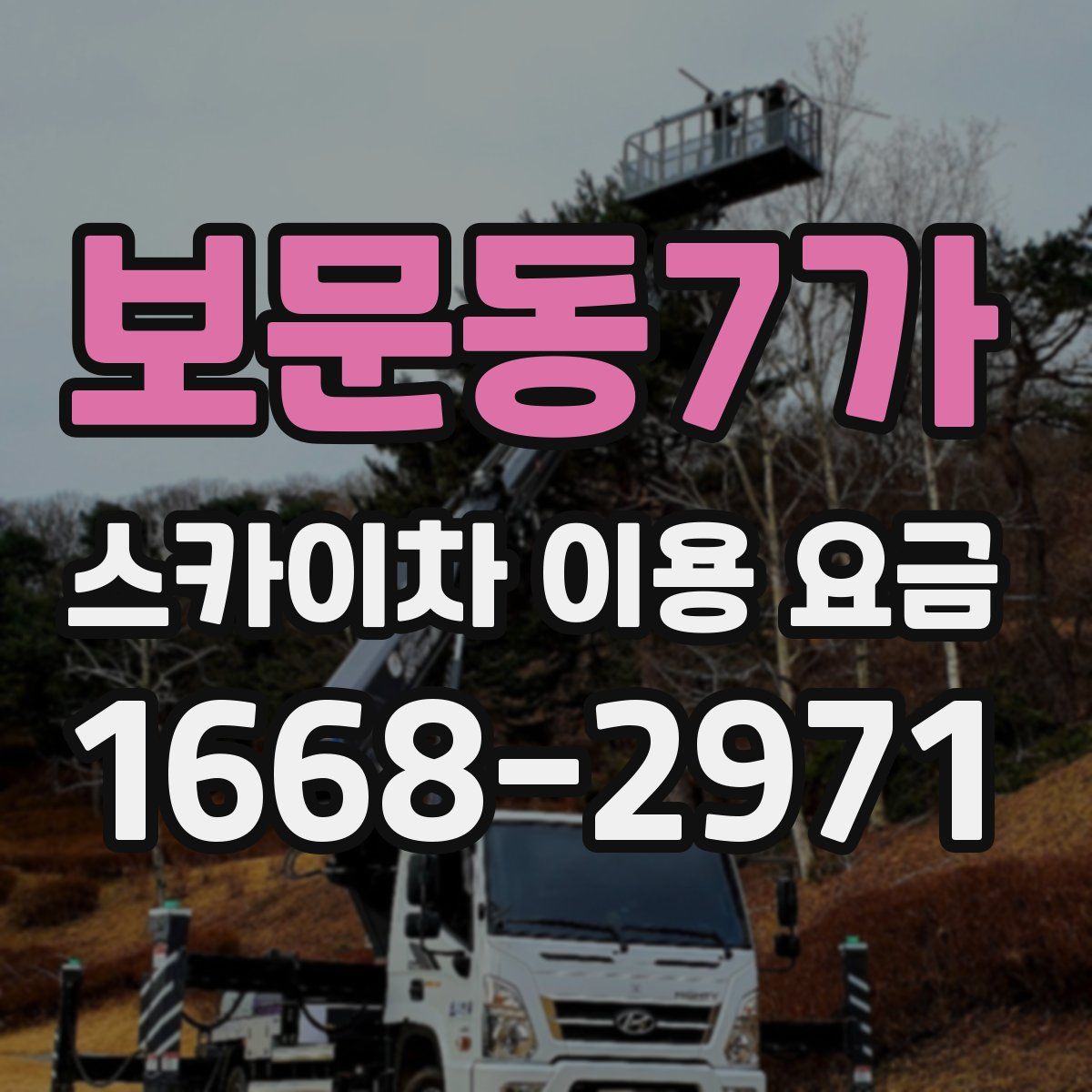 보문동7가 스카이차 이용 요금