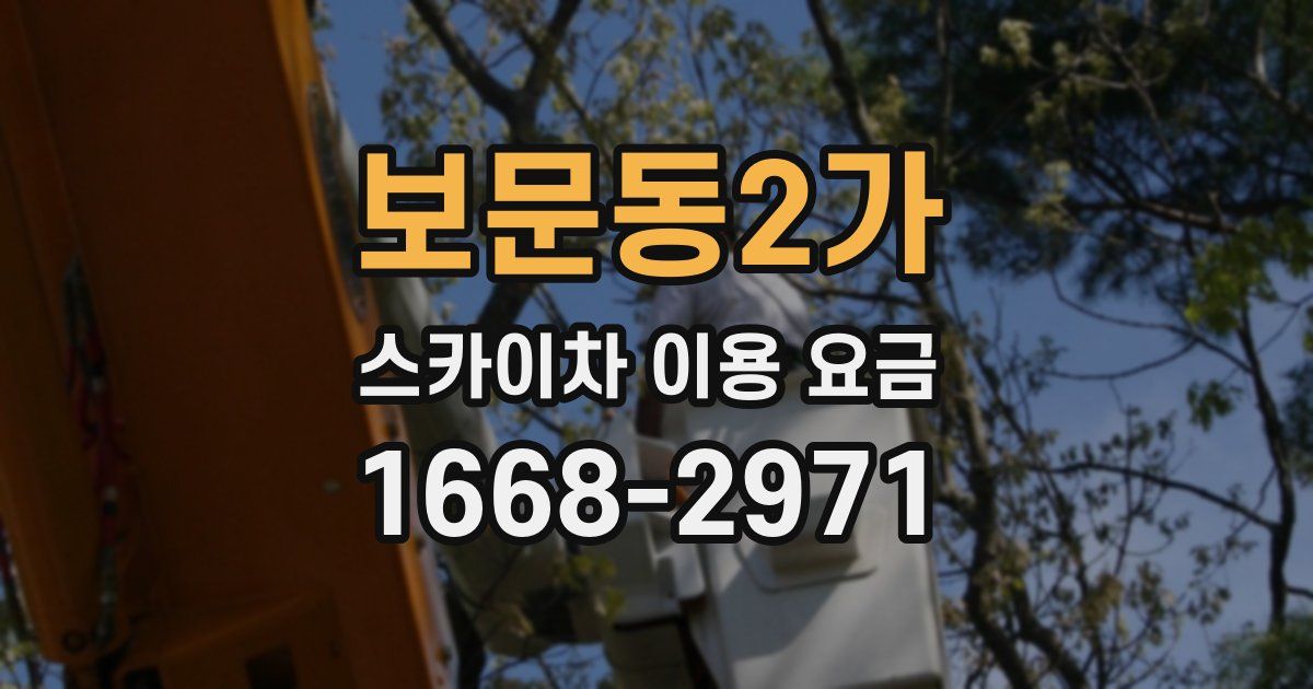 보문동2가 스카이차 이용 요금
