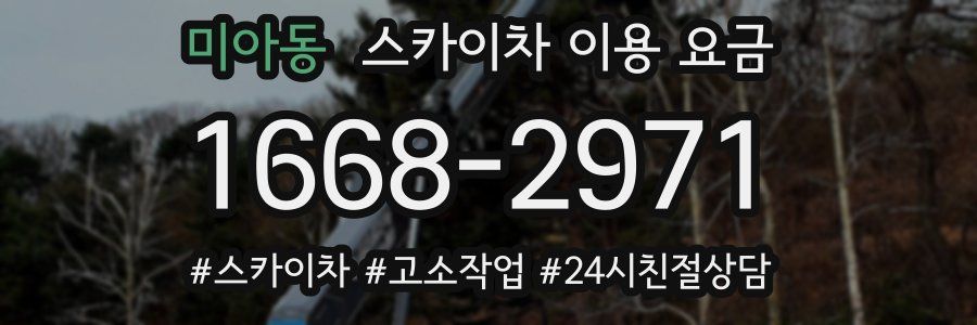 미아동 스카이차 이용 요금