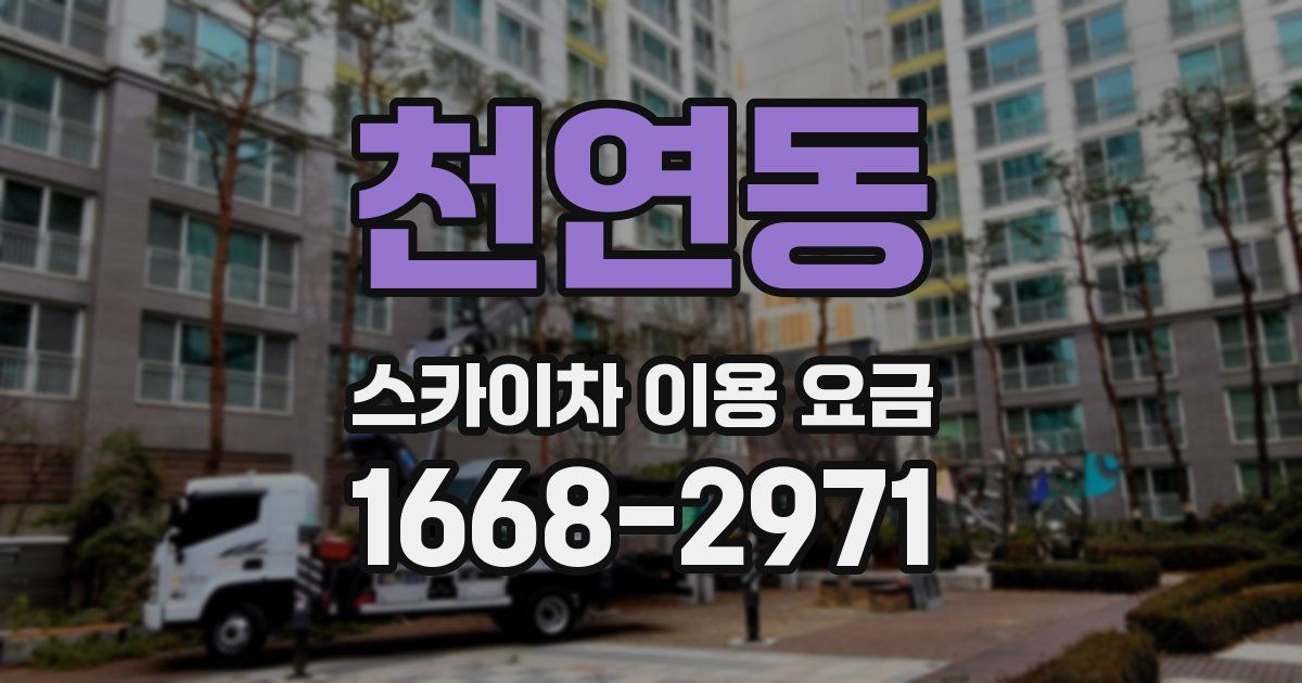 천연동 스카이차 이용 요금