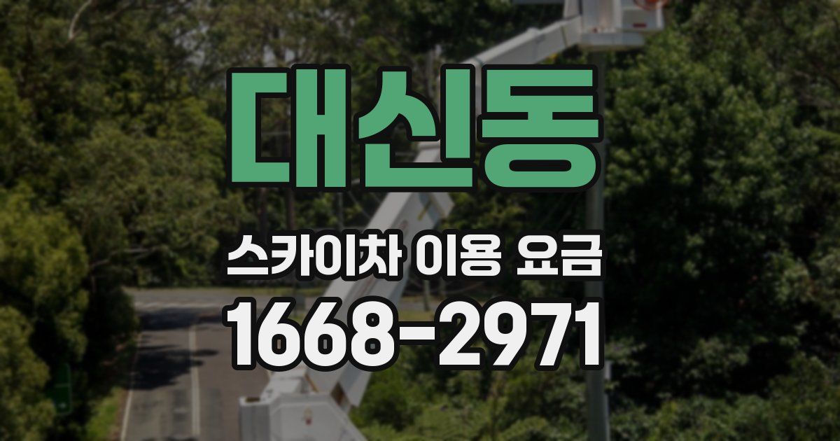 대신동 스카이차 이용 요금