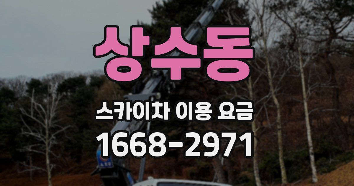 상수동 스카이차 이용 요금