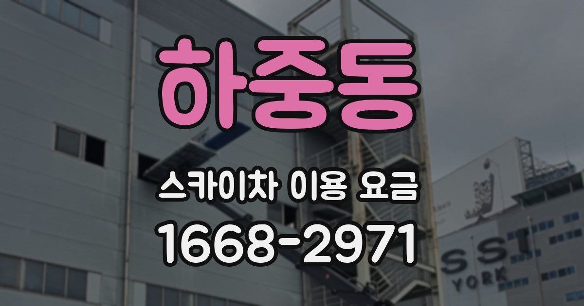 하중동 스카이차 이용 요금