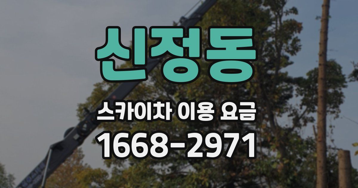 신정동 스카이차 이용 요금