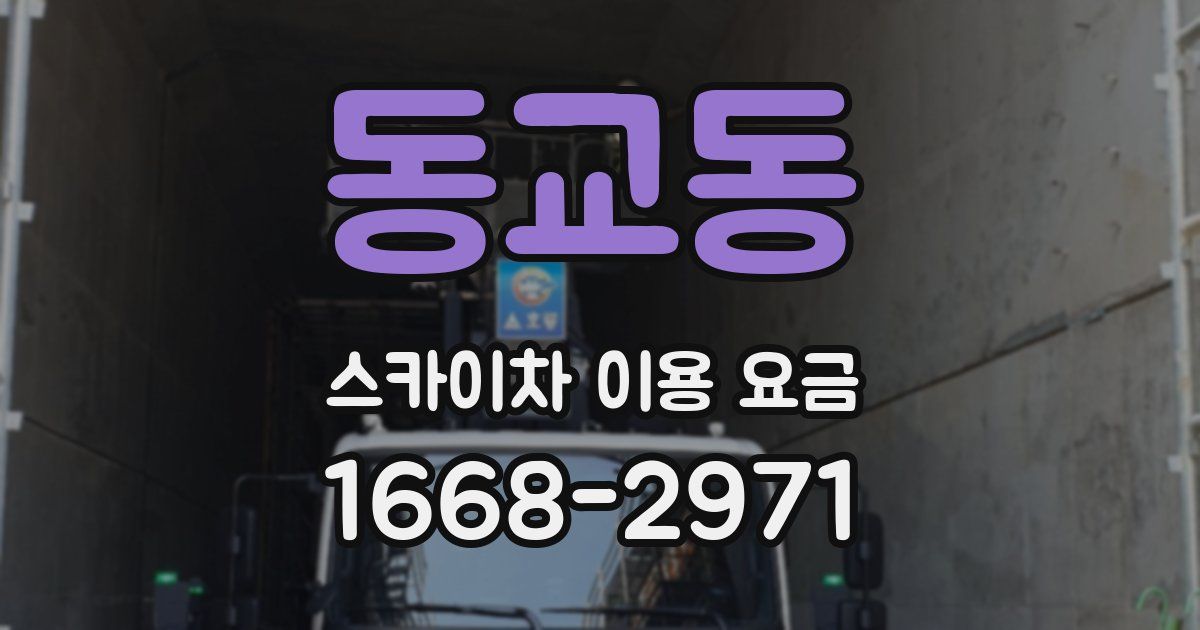 동교동 스카이차 이용 요금