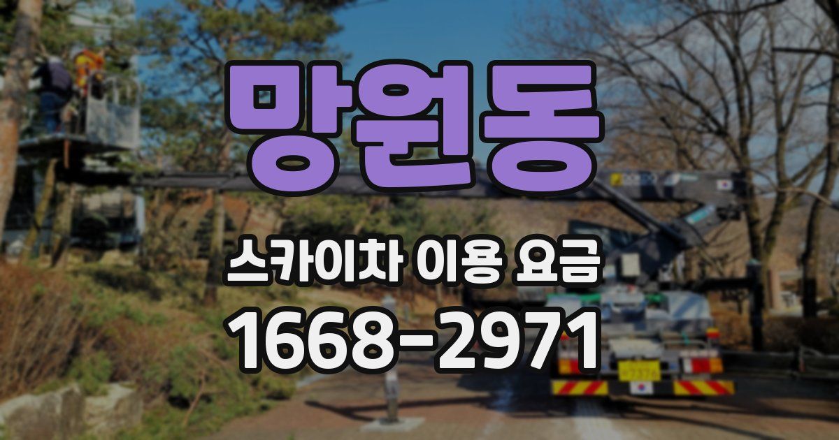 망원동 스카이차 이용 요금