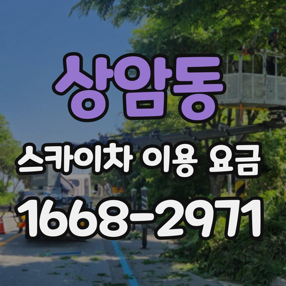 상암동 스카이차 이용 요금