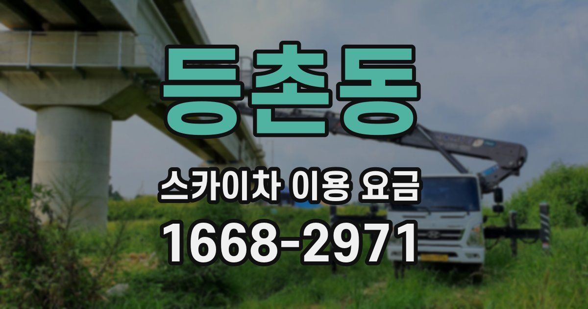 등촌동 스카이차 이용 요금