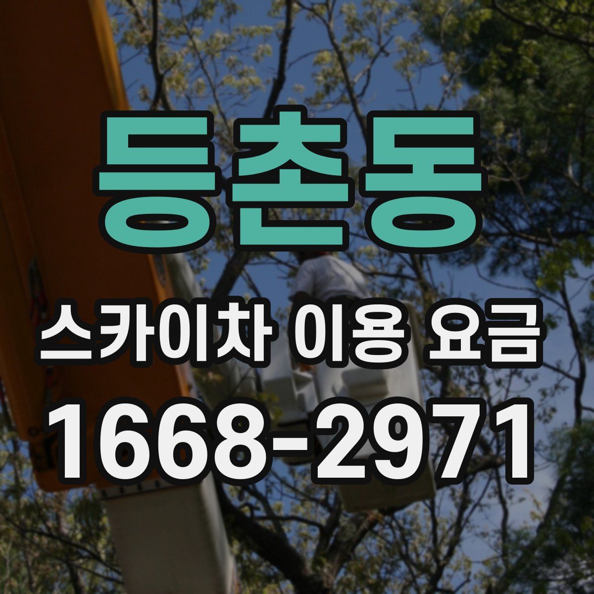 등촌동 스카이차 이용 요금