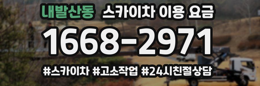 내발산동 스카이차 이용 요금