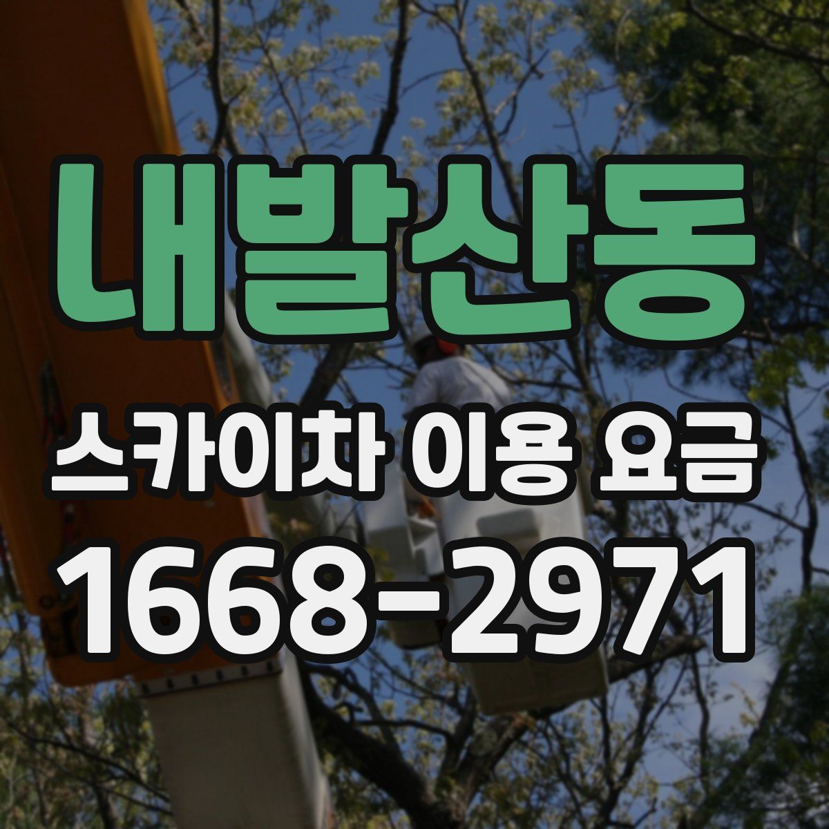 내발산동 스카이차 이용 요금