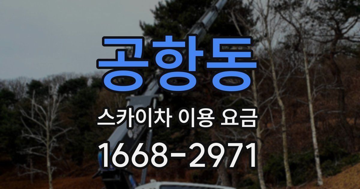 공항동 스카이차 이용 요금